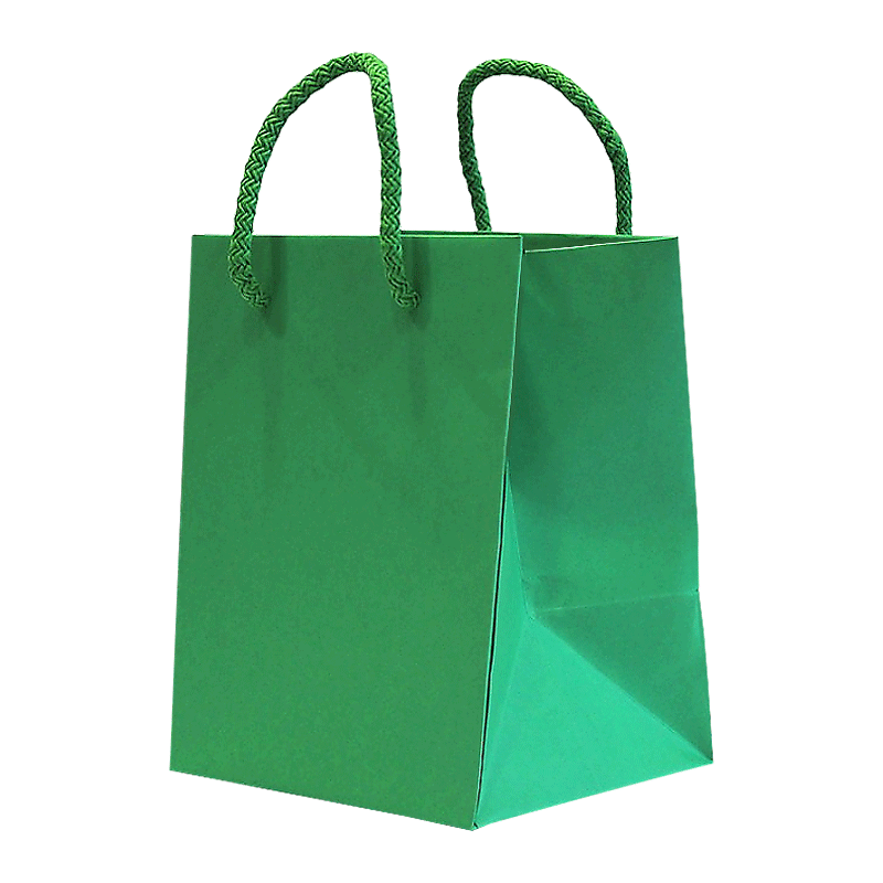Paper Bag 150x140x200mm Rope Handles ARTESA 180G Green