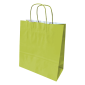 Paper Bag 280x110x320mm Twist Handles 90G Light Green