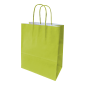 Saco de Papel 220x100x280mm Asas Torcidas 90G Verde Claro