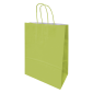 Saco de Papel 240x110x320mm Asas Torcidas 90G Verde Claro
