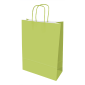 Paper Bag 320x110x420mm Twist Handles 100G Light Green